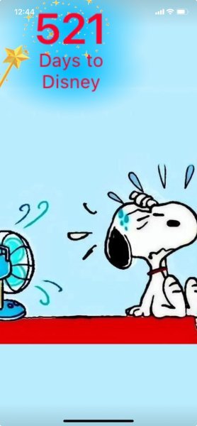 SNOOPY FAN HEAT.jpeg