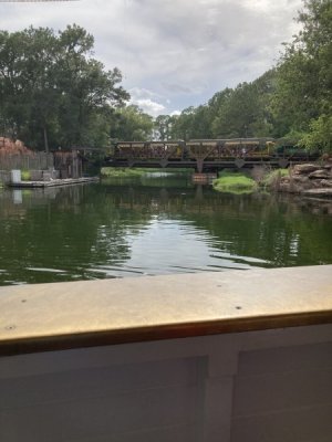 IMG_4472.jpeg