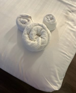 IMG_0046.jpeg