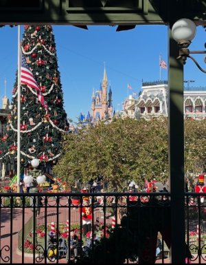 IMG_0049.jpeg