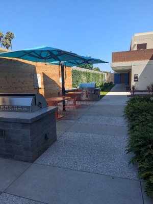 PXL_20250707_175305210.MP.jpg