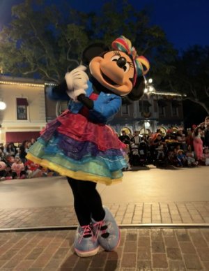 IMG_3918.jpeg