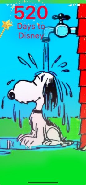 SNOOPY KEEPING COOL.jpeg