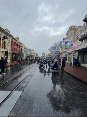 IMG_0061.jpeg