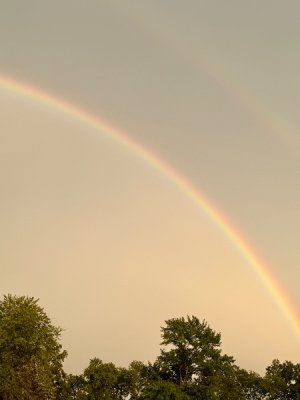IMG_4322.jpeg
