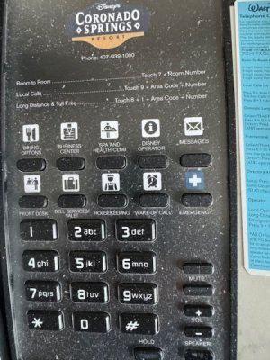 1752061050459.jpeg