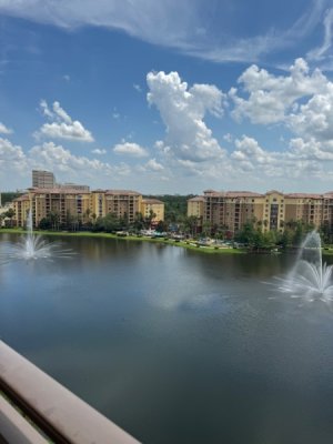 IMG_7642.jpeg