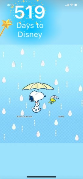 SW RAIN DROPS.jpeg