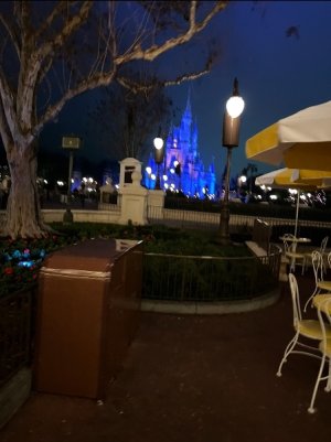 IMG_0085.jpeg