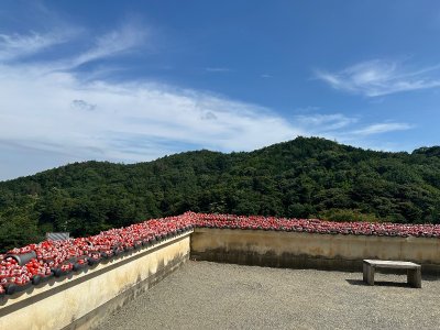 IMG_8737.jpeg