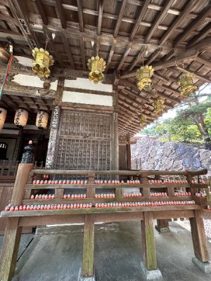 IMG_8728.jpeg