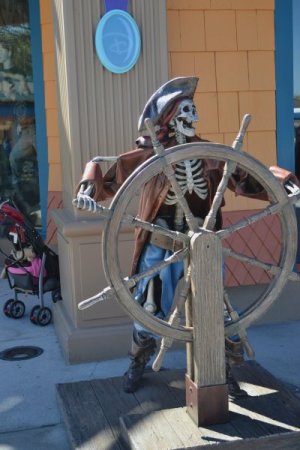DSC_0822 (1).JPG