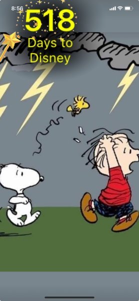 SW LINUS THUNDERSTORM RUN.jpeg