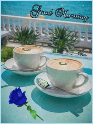 IMG_5927.gif