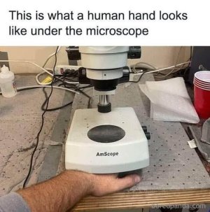 517342159_10229203382816182_2715079270678489669_n.jpg