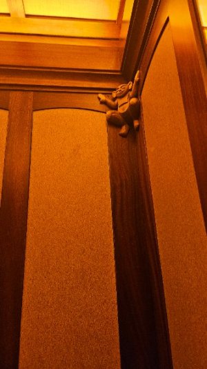 20250611_113251.jpg
