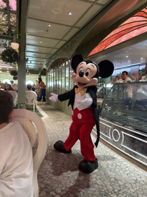 IMG_0855.JPEG