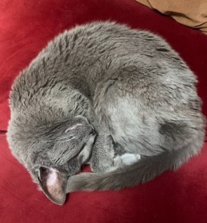 IMG_9970.jpeg