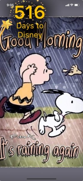 SNOOPY CB RAINING AGAIN.jpeg