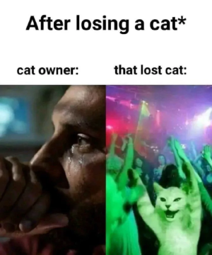 6870de32776f1.png