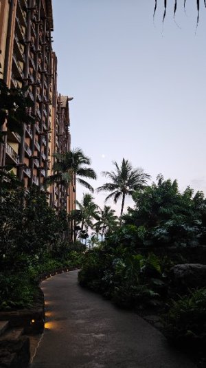 20250613_054426.jpg