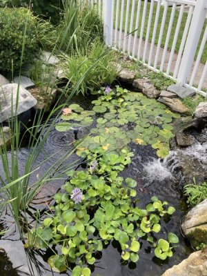 IMG_4535.jpeg