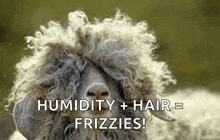 1752392255573.gif