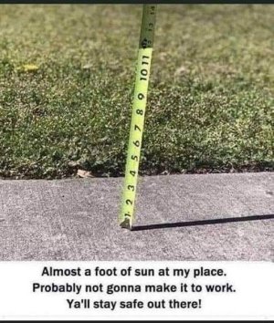 Foot.jpg