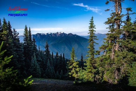 ONP_Mountains.jpg