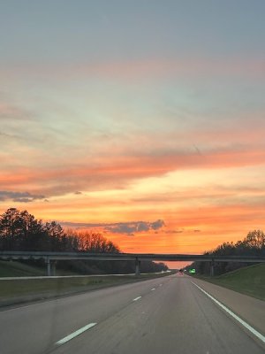IMG_4395.jpg