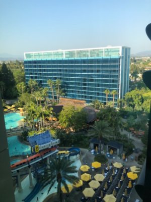 IMG_6431.jpeg