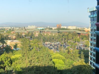 IMG_6432.jpeg