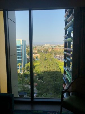 IMG_6429.jpeg