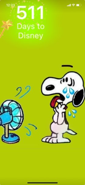 SNOOPY FAN HOT.jpeg