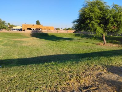 IMG_20250718_064631155.jpg