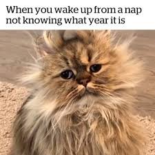 1752870093959.jpeg
