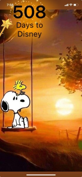 SW SUMMER SUNSET.jpeg