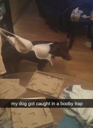 IMG_4705.jpeg