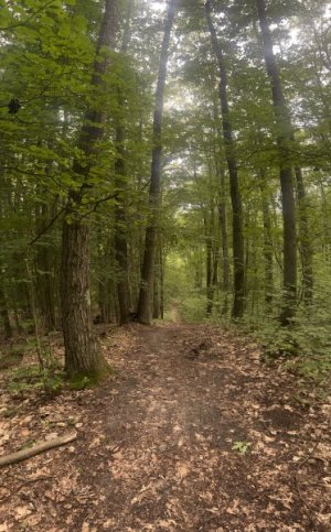 IMG_6672.jpeg