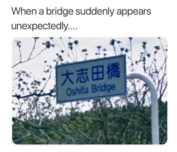 1752804346563-fu.jpg