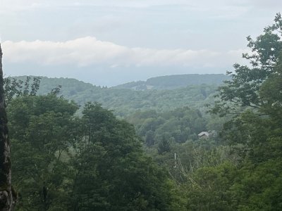 IMG_4513.jpeg