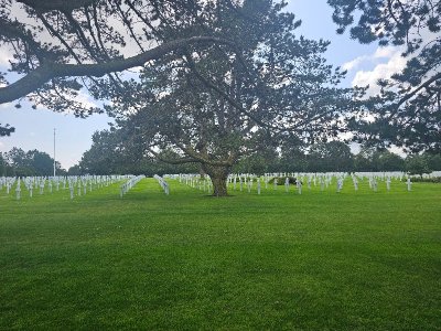 20250615_145915[1].jpg