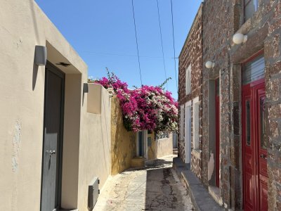 IMG_1158.JPEG
