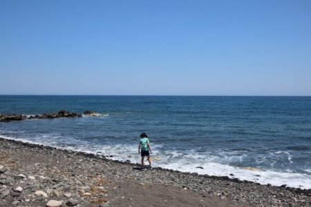 IMG_2794.JPG