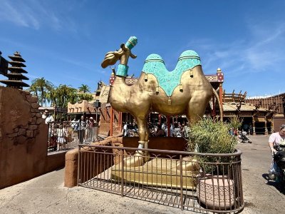 IMG_2070.jpeg