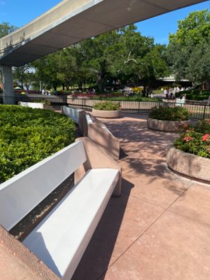 IMG_0647.jpeg
