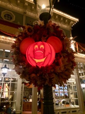 IMG_0822.jpeg