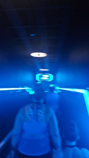 20250625_102424.jpg