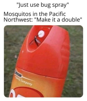 520838747_10233641405610204_6930870998110425065_n.jpg