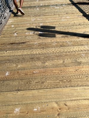 IMG_4395.jpeg